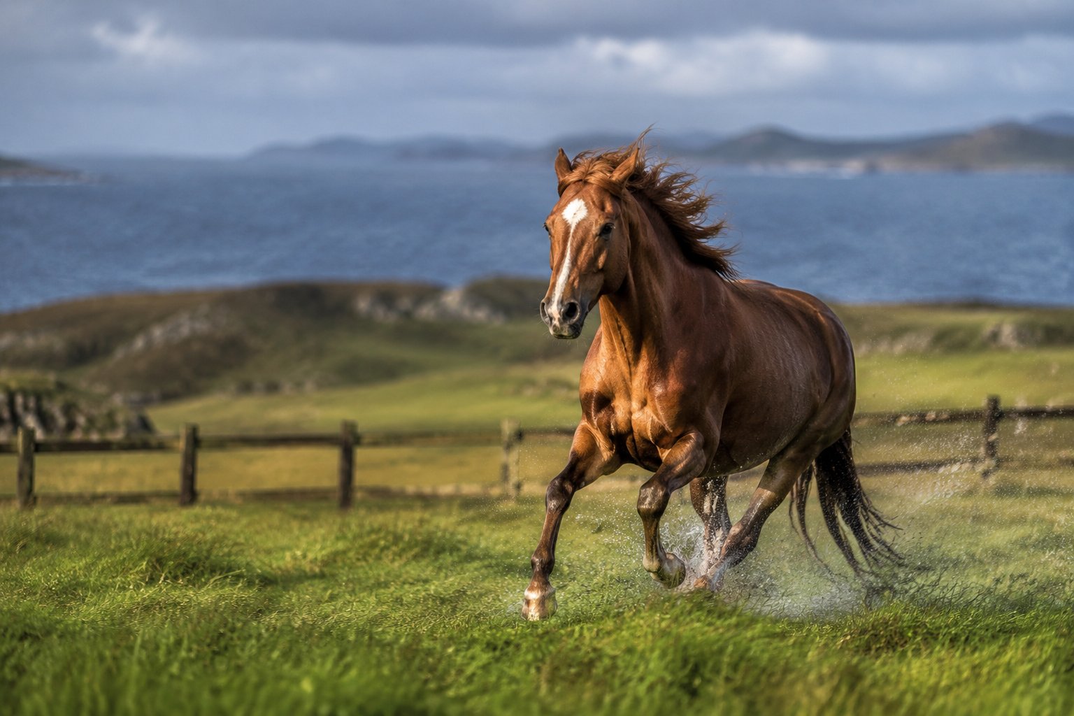 Wild Coast
